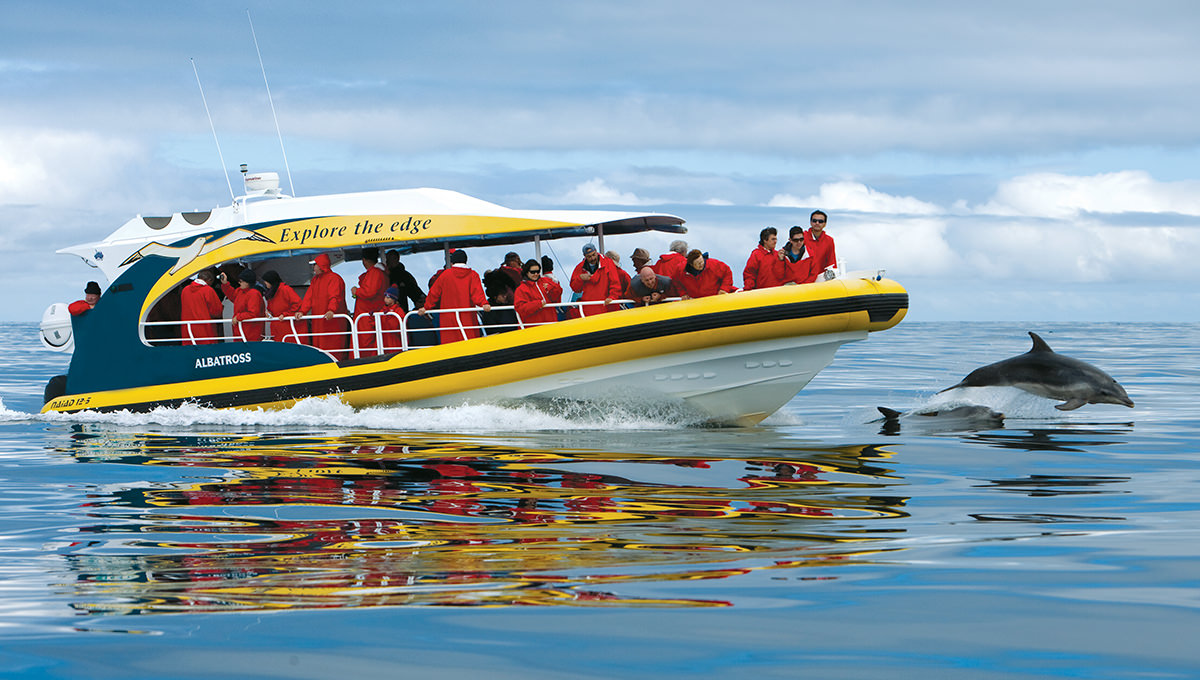 Bruny Island Cruises